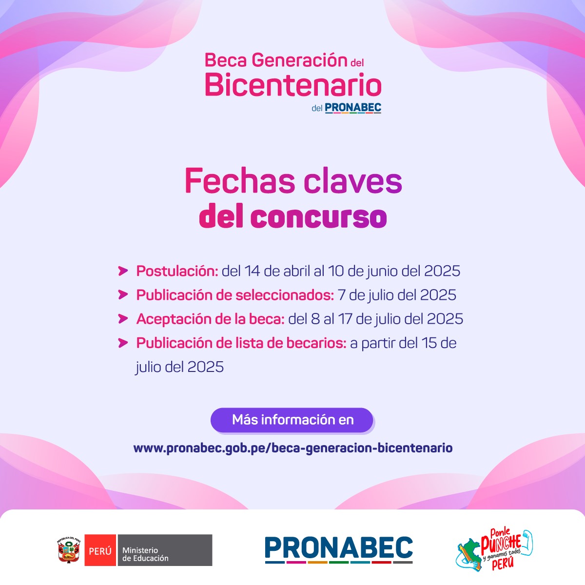 BECA GENERACIÓN BICENTENARIO - PRONABEC 25 2