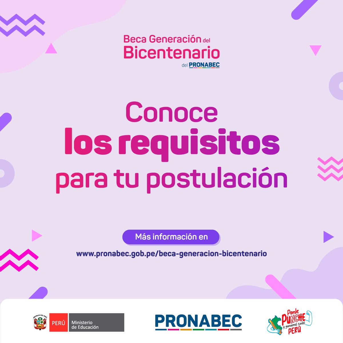 BECA GENERACIÓN BICENTENARIO - PRONABEC 25 4