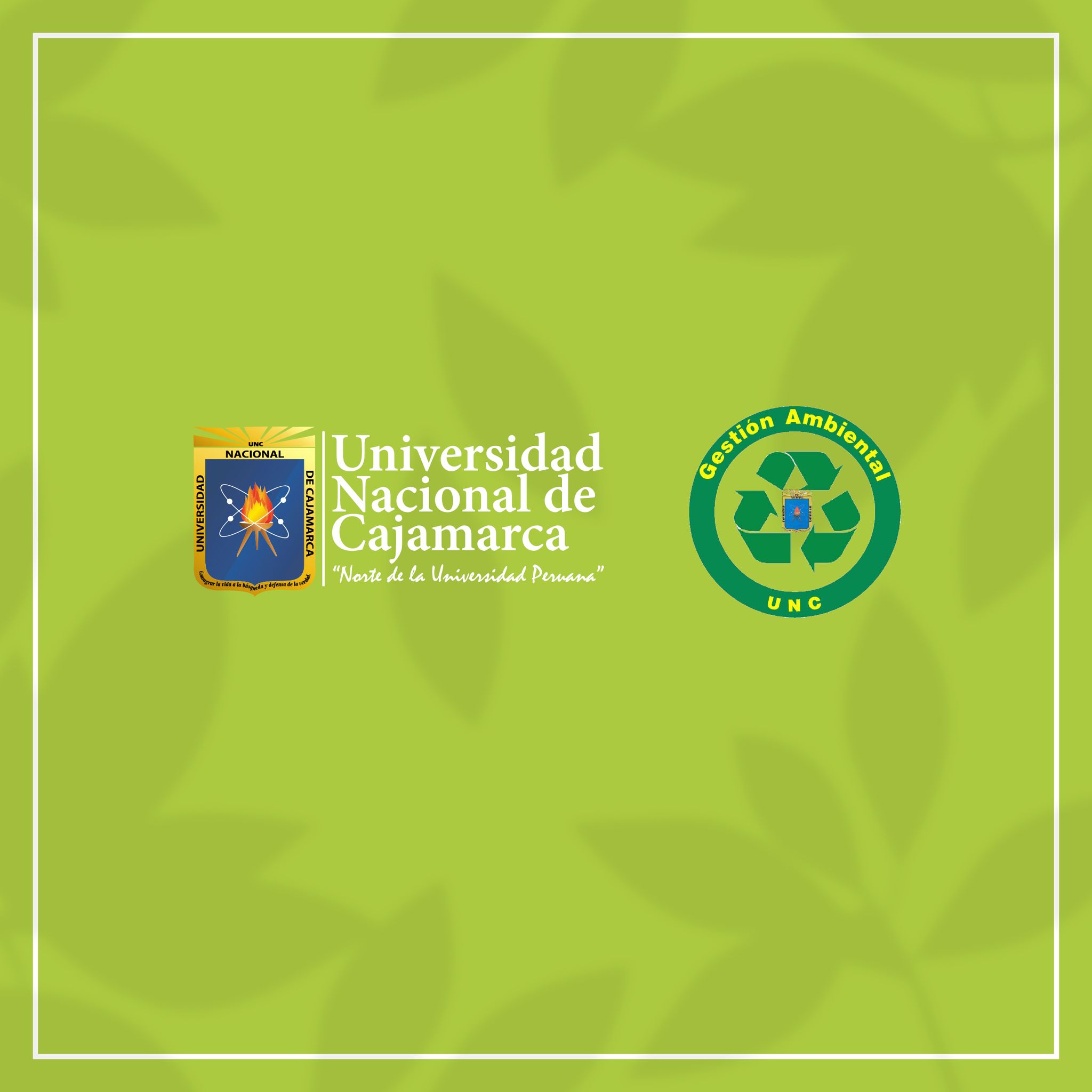 RECICLATÓN UNC 20254