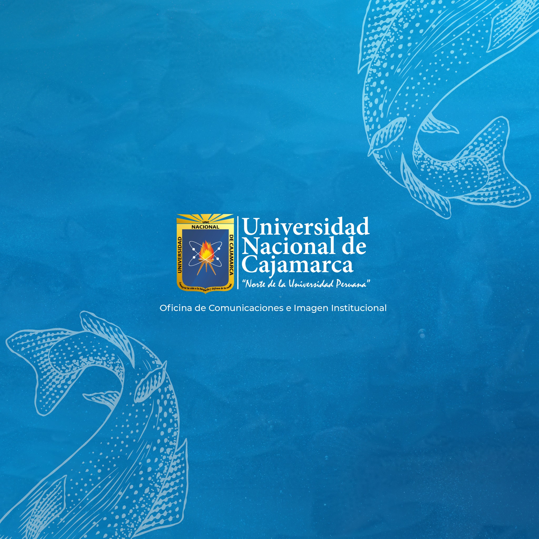 VIII Encuentro de Interacción Nacional e Internacional de piscicultores, proveedores y especialistas en cultivo de truchas4